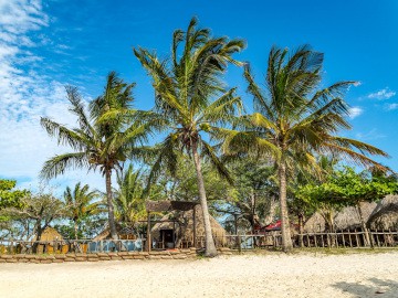 Manico Camp